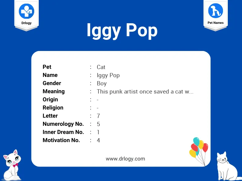 Iggy Pop Name Meaning